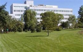 中國(guó)科學(xué)院心理研究所草坪