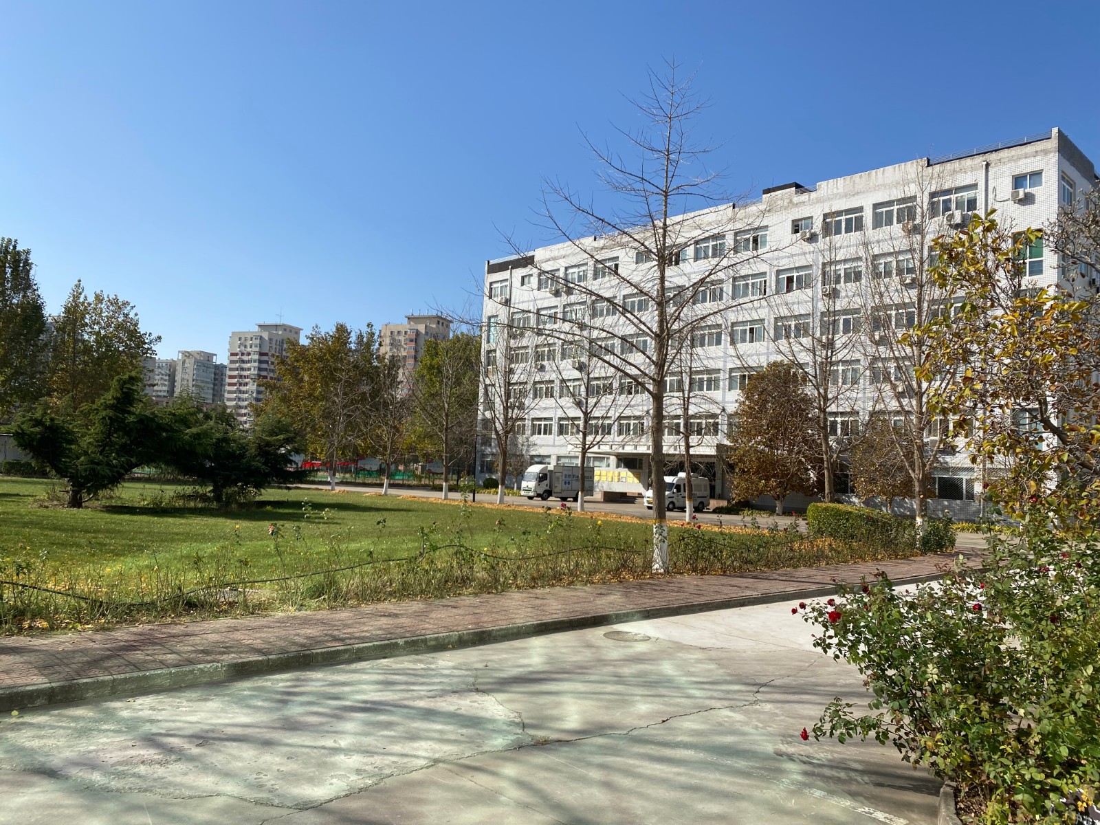 北京化工大學(xué)校園風(fēng)景3